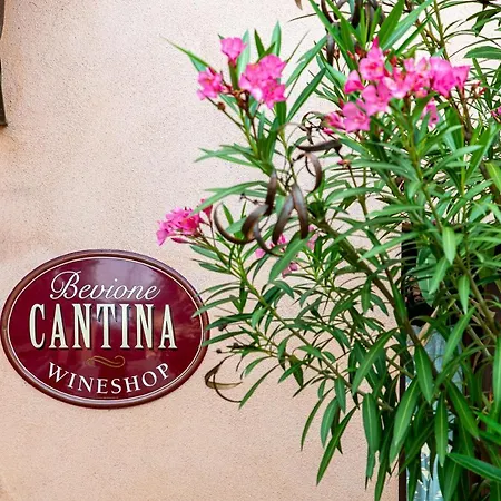 Agroturismo Cantine Bevione - Family With Panoramic View Farigliano