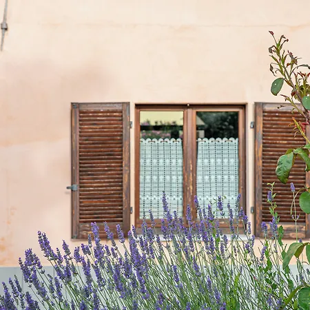 Cantine Bevione - Family With Panoramic View Farigliano
